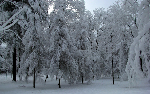 1115748 (a): :2560x1600